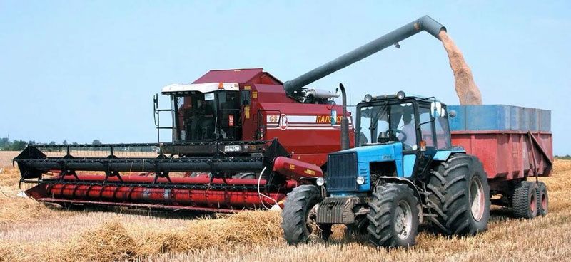 Клопаты аграрыяў: касьба, падрыхтоўка да ўборачнай