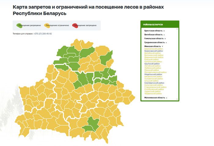 Ограничение на посещение лесов действует в 97 районах Беларуси