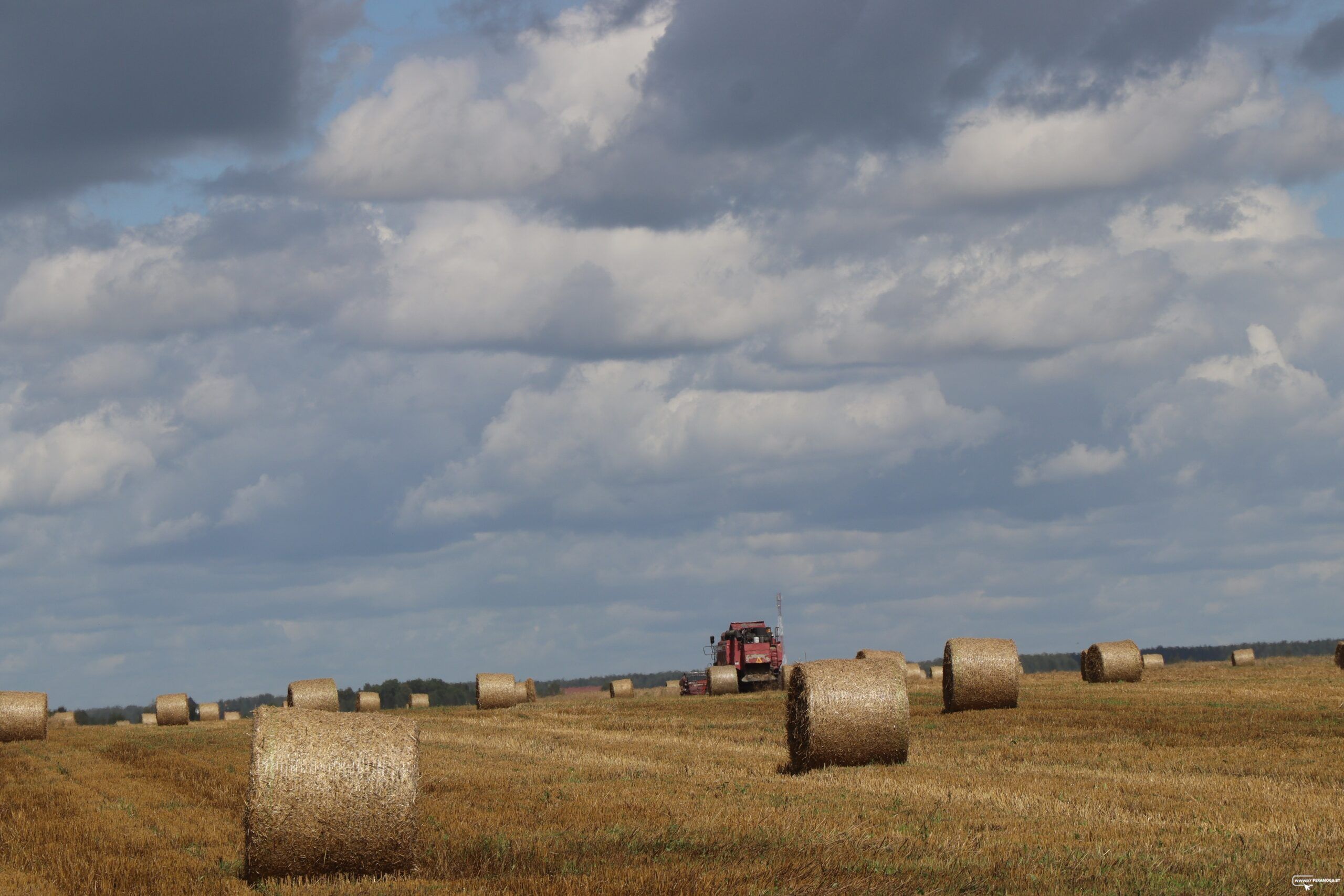 Есть вопросы по уборочной? Обратиться можно к профсоюзам