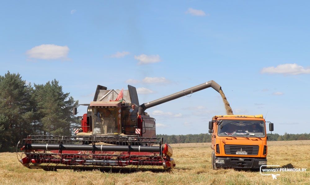 Мининформ: на конкурс «Хвала рукам, что пахнут хлебом» журналисты прислали рекордное количество заявок