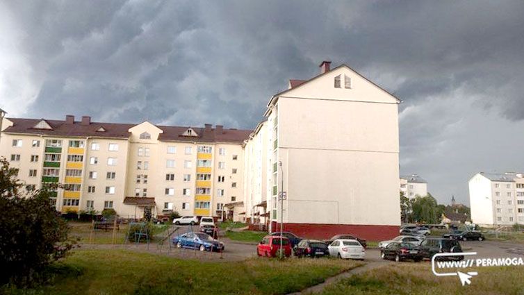 В Вилейском районе жителей многоквартирных домов и частной застройки приглашают принять участие в субботнике 16 августа