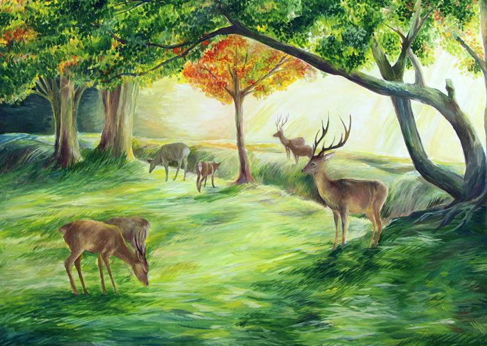 Принимаются заявки на конкурс «Прырoда і жывёльны свет Беларусі»