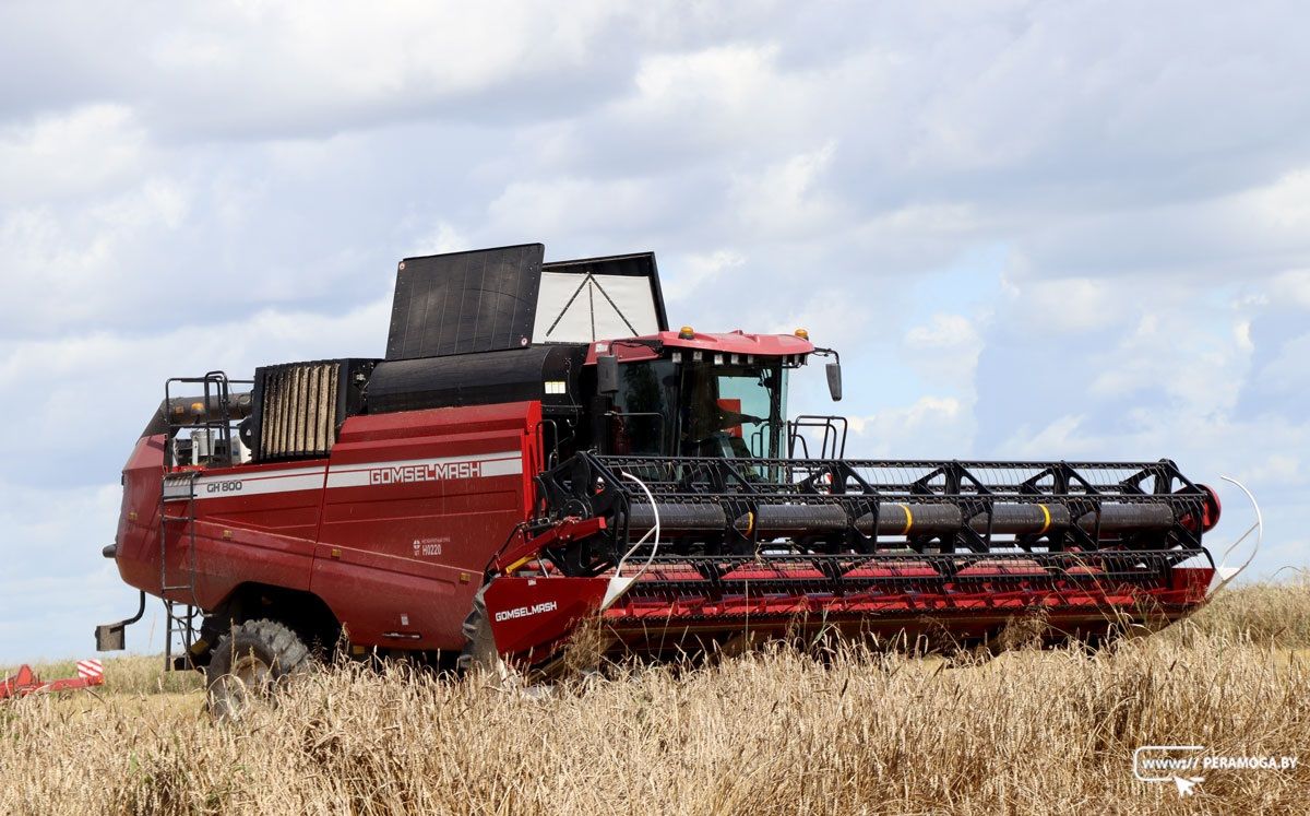 Свыше 8,7 млн тонн зерна намолотили в Беларуси