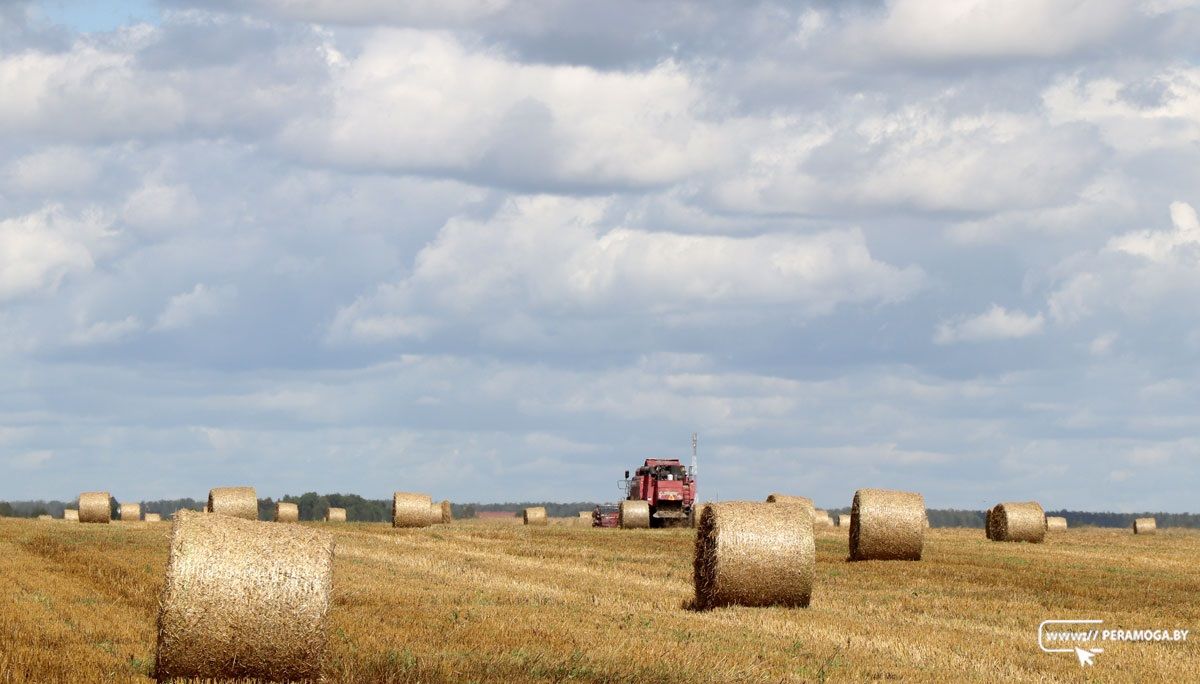 То, что нас объединяет То, что нас объединяет