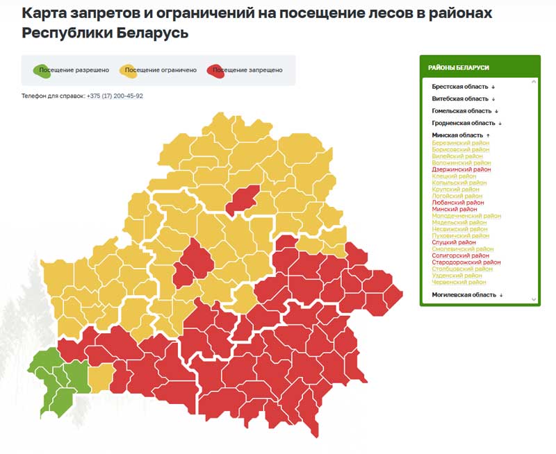 В Минской области увеличилось количество районов, где введены запреты на посещение лесов