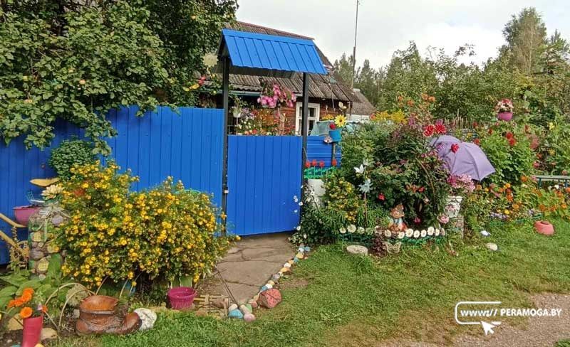 З клопатам і душою аздоблены падворак Алены Бядрыцкай з вёскі Камары