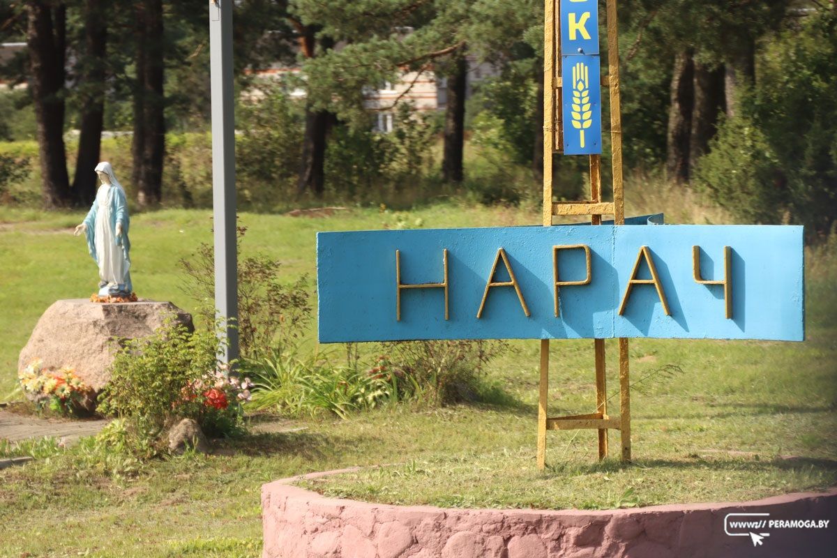 Вековые дубы, лошадиная ферма, передовое хозяйство района: участники Дня Совета ближе познакомились с Нарочанским сельсоветом