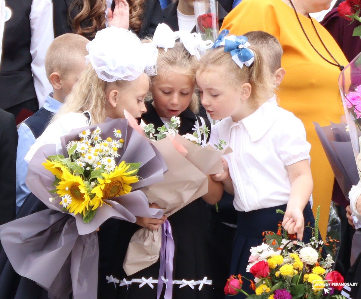 Торжественная линейка прошла в гимназии №2