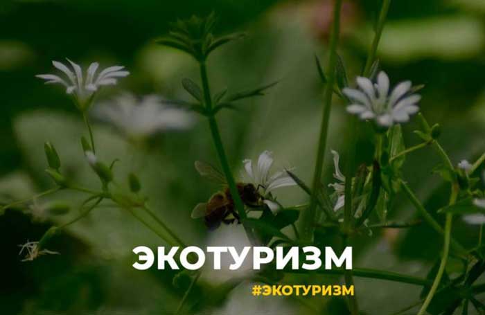экотуризм