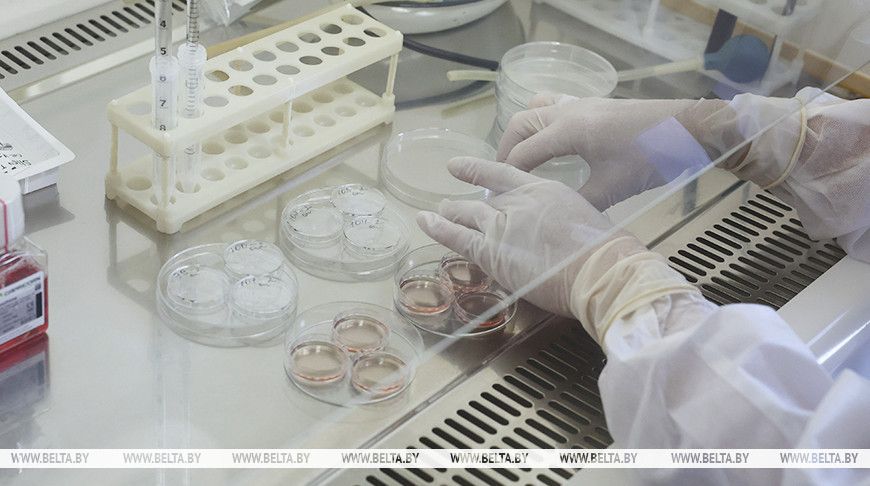 Вторую бесплатную попытку ЭКО могут начать предоставлять в Беларуси с 2026 года