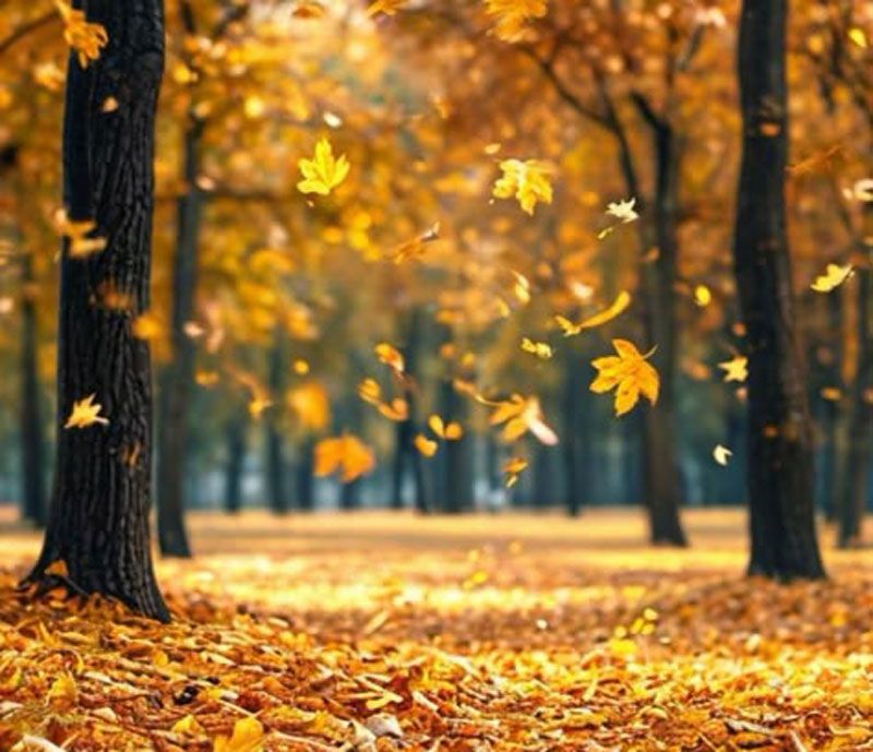 День памяти. О тех, кого рядом нет…