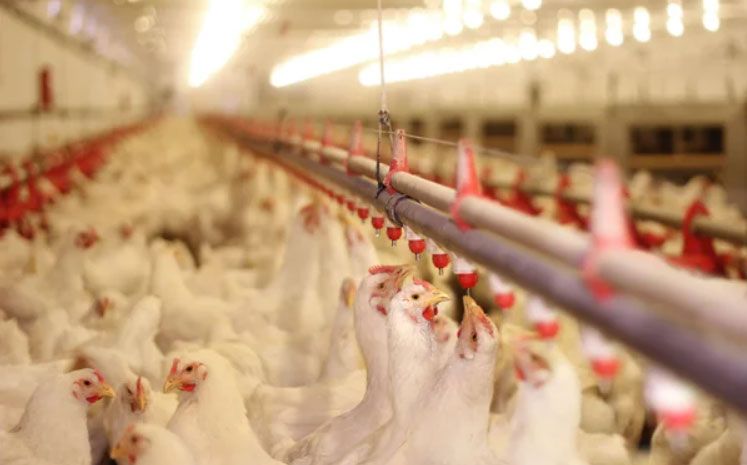 В 2026-2030 годах в Минской области будет реализован масштабный инвестиционный проект