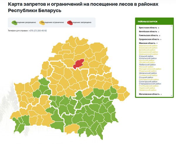 Запреты и ограничения продолжают действовать в белорусских лесах