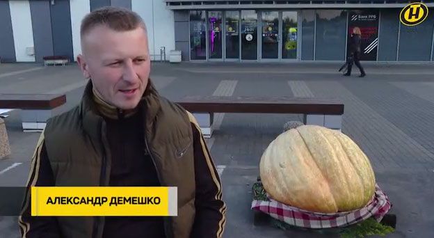 Житель Брестчины вырастил тыкву весом 230 кг