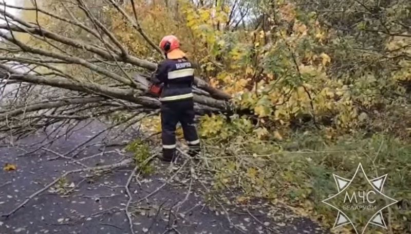 Подразделения МЧС ликвидируют последствия непогоды в Минской области