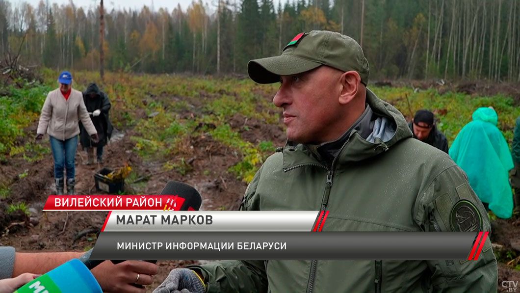 Представители Мининформа и ведущих СМИ страны восстанавливали лес в Вилейском районе