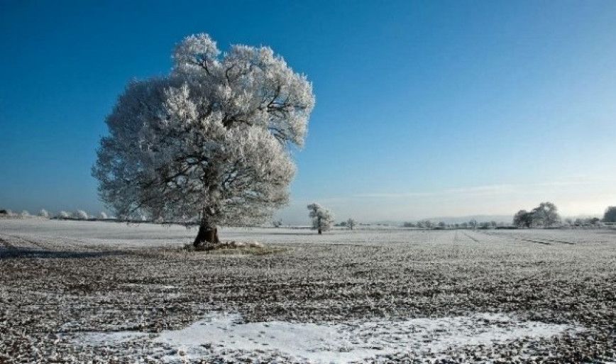 Белгидромет: в ближайшее время перезимовка озимых культур будет проходить в условиях неустойчивой погоды