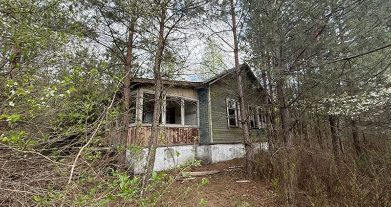 Как используются земельные ресурсы. Разбирается Комитет госконтроля