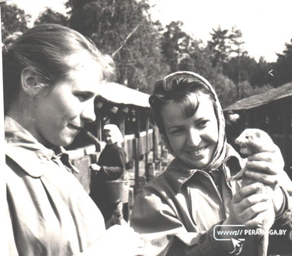 Империя меха. Как в Людвиново создавали пушную роскошь