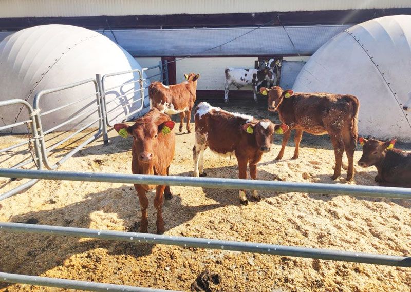 Готовы ли к зиме? Проверили