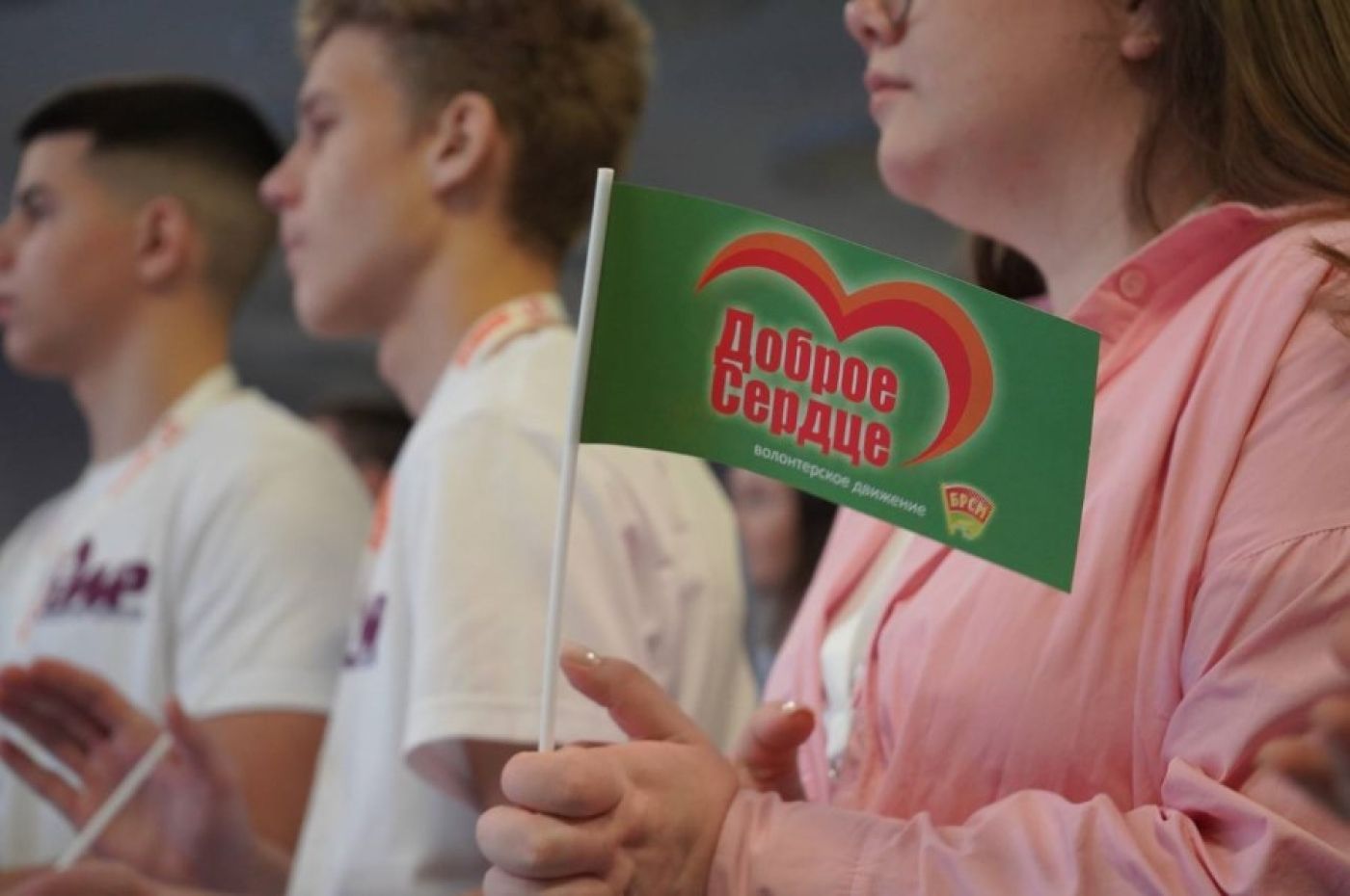 Победителей областного этапа республиканского конкурса "Волонтер года – Доброе Сердце" выбрали в Минской области