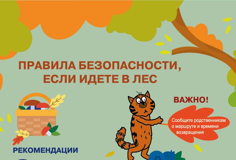 Грибы и ягоды без риска: рекомендации для безопасного похода в лес Грибы и ягоды без риска: рекомендации для безопасного похода в лес