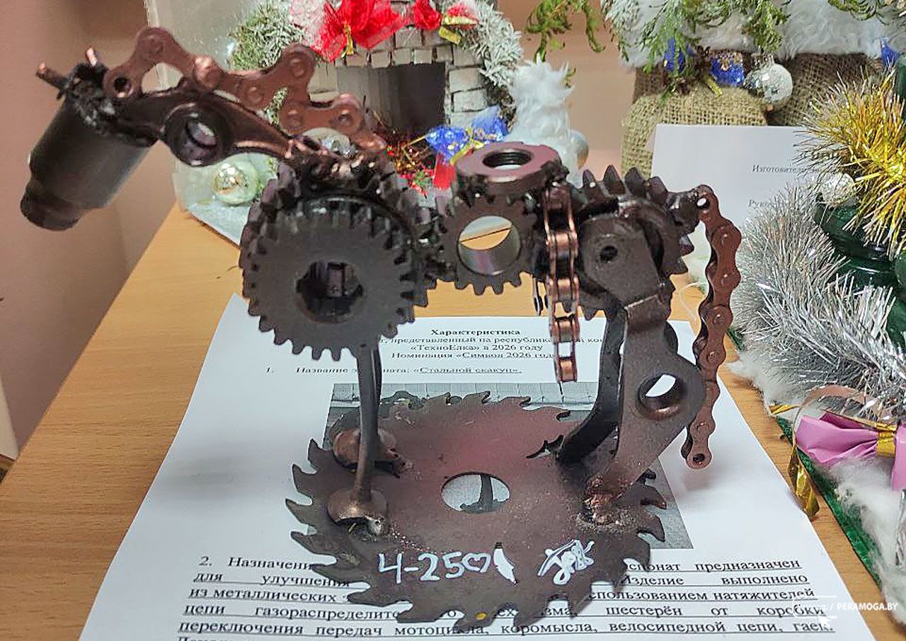 Уникальные ёлки из необычных материалов: выставка проходит в Вилейском государственном колледже