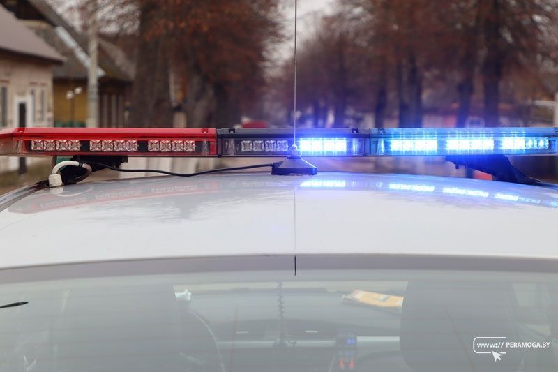 Житель Минска на «Ниссане» сбил под Вилейкой лося