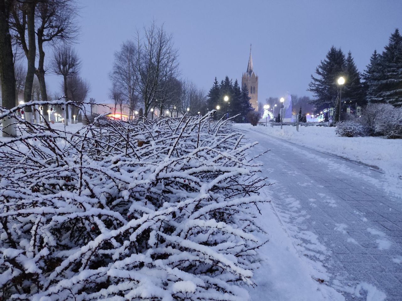 Морозы в Беларуси только усилятся: чего ждать от погоды 6-9 января
