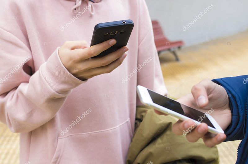 Экономика прежде всего, или Где растут картошка и яблоки