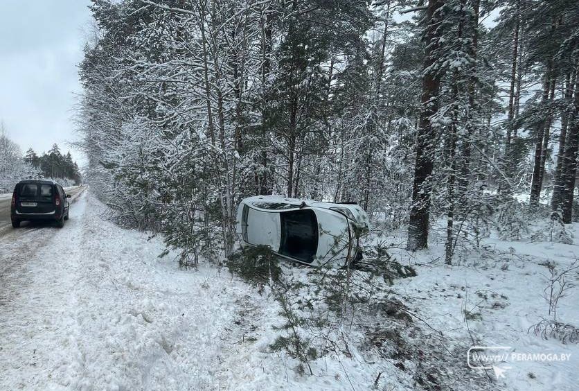 Жительница Вилейского района на «Хендай Солярис» съехала в кювет и врезалась в дерево