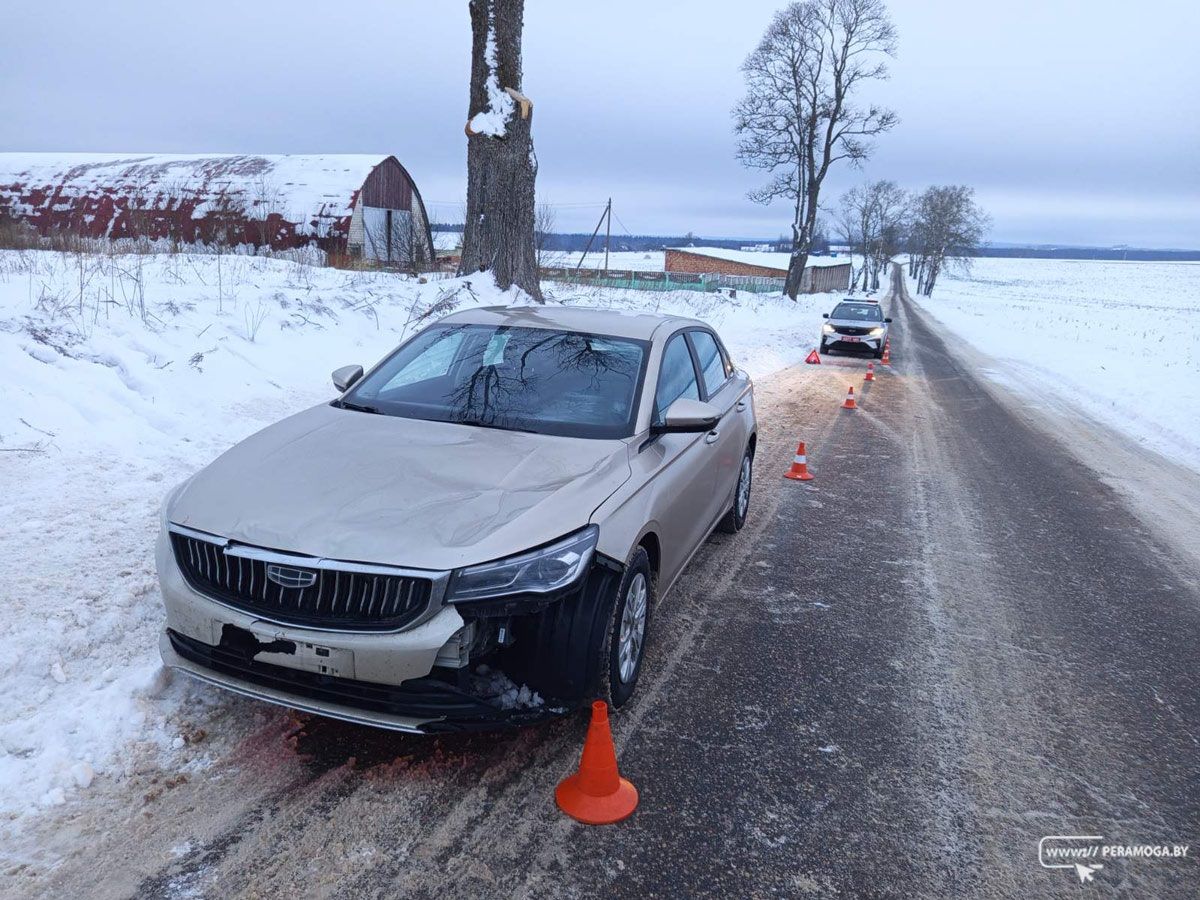 Водитель Geely в Вилейском районе не смог увернуться от лося и попал в ДТП
