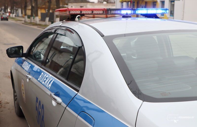 В Вилейском районе неизвестный сбил лося и скрылся с места ДТП