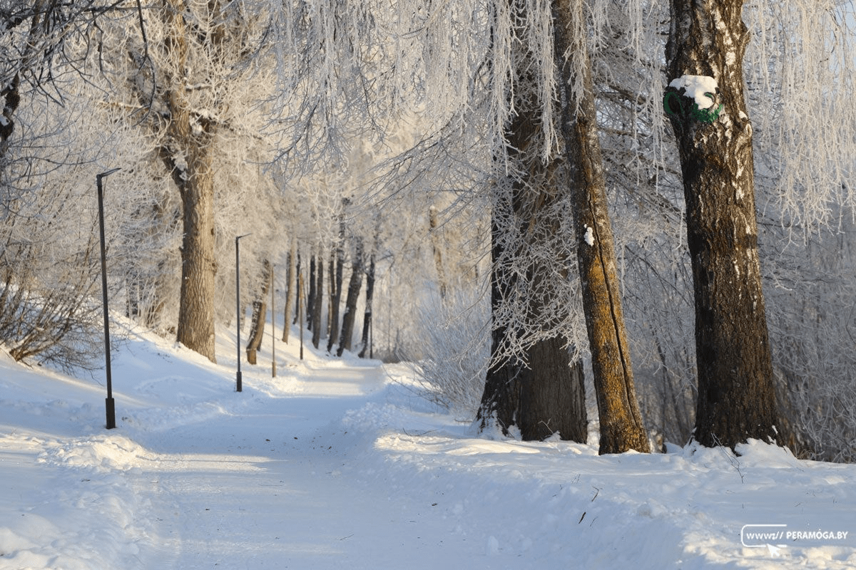 Снег с дождем и до +2°С. Оранжевый уровень опасности объявлен в Беларуси на 26 января
