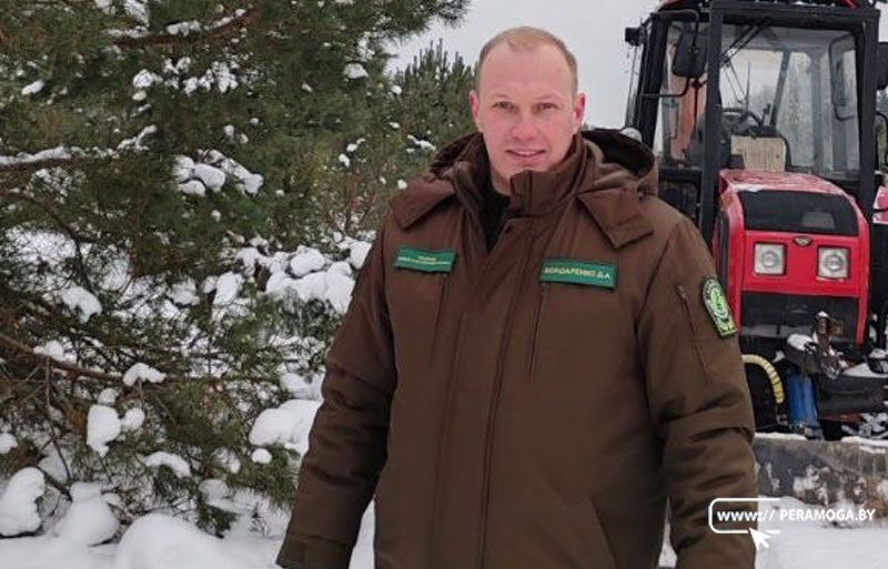 Для чего в Ижском лесничестве зимою собирают шишки? Узнали и рассказываем