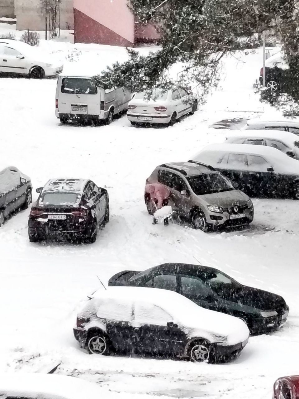 Вилейское ЖКХ: "Нет лопаты? Есть решение!" Смотрите, где можно бесплатно взять инвентарь для расчистки снега