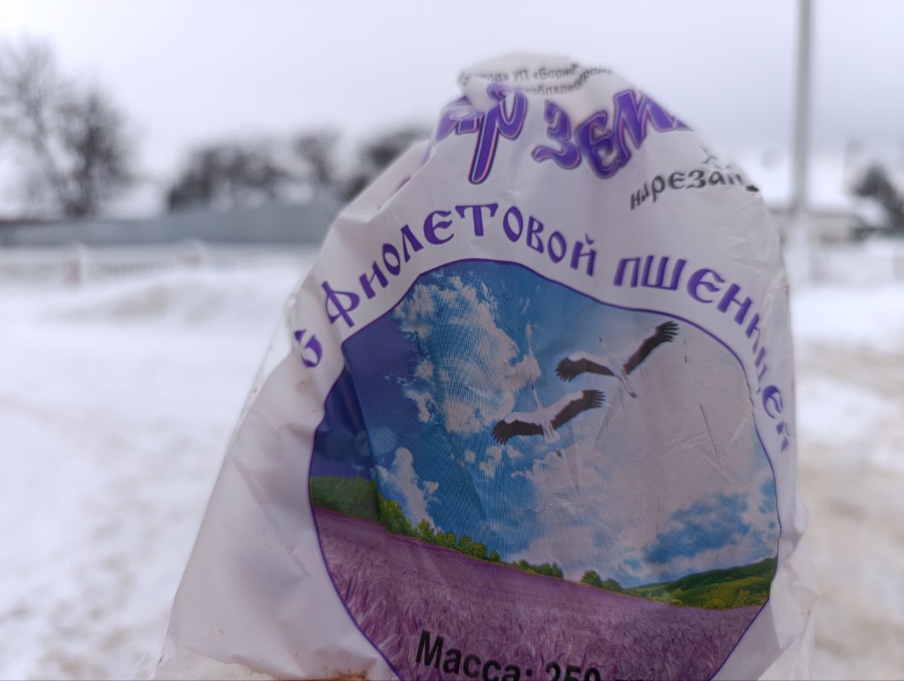 Тот самый, с фиолетовой пшеницей: нашли и купили в Вилейке хлеб "Дар земли"