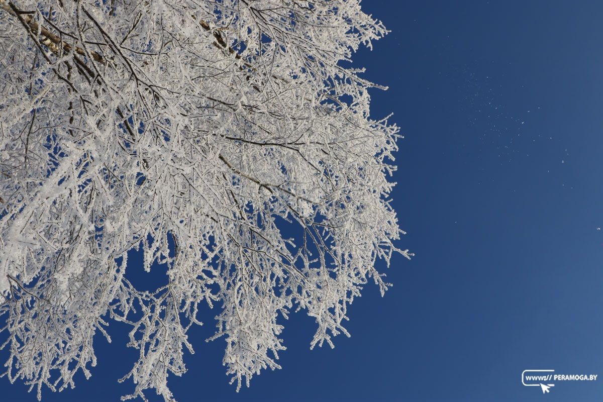 Потепления белорусам пока ждать не стоит — какой будет погода в ближайшие дни