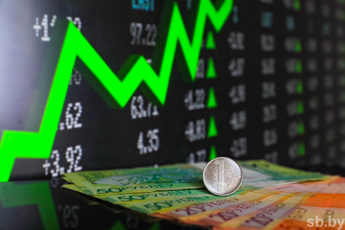 Иностранный капитал в Вилейском районе: подробности о структуре вложений за 2025 год