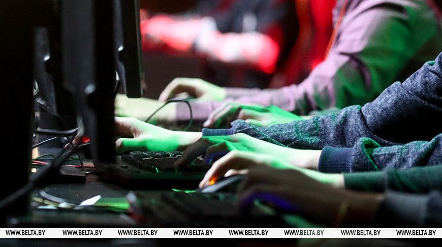 Жительница Вилейки хотела купить щенка шпица, а потеряла деньги