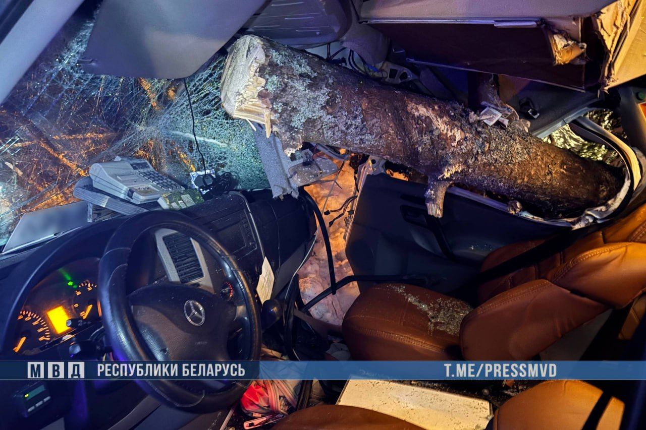 ДТП с маршруткой в Вилейском районе: водитель наехал на дерево