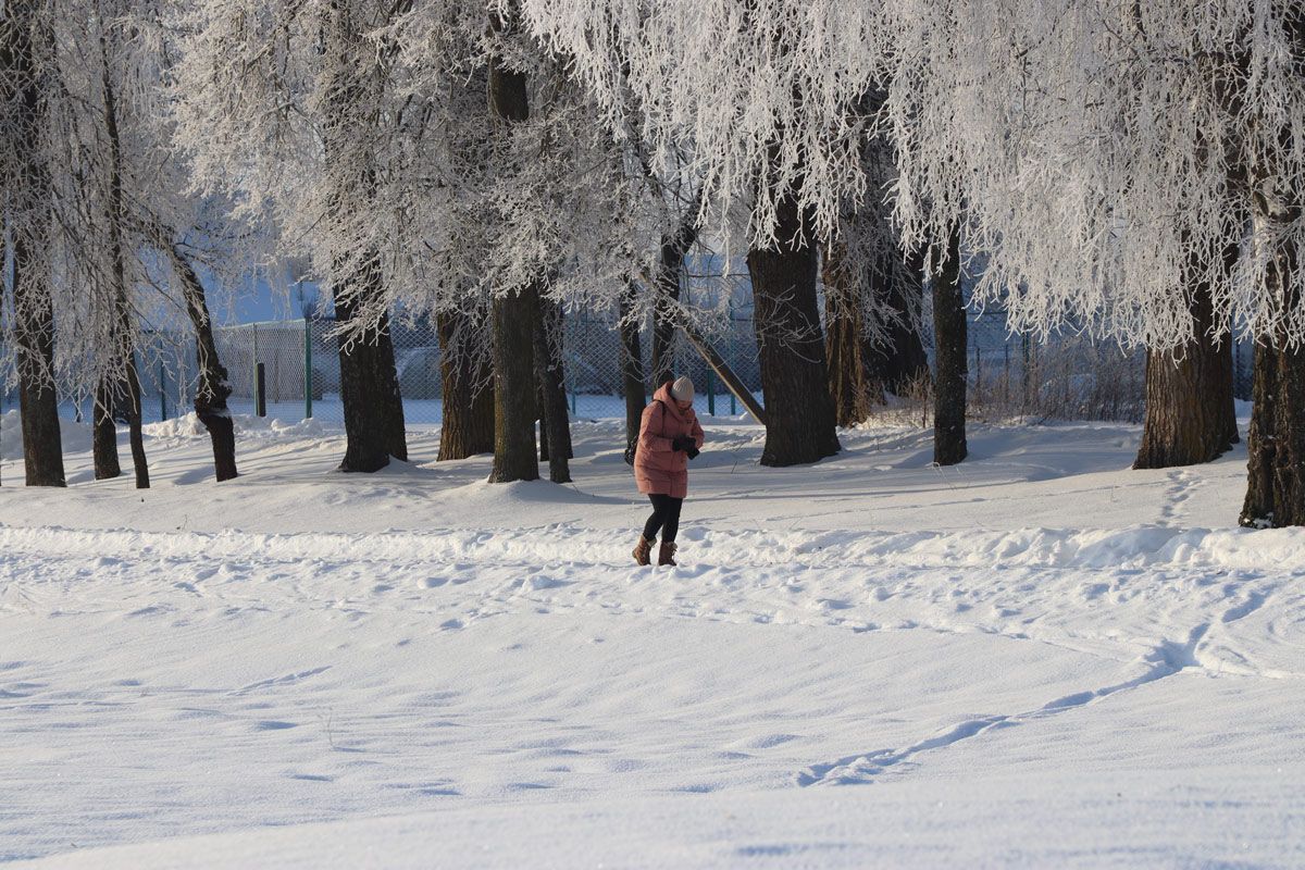 Ждать ли белорусам снега 26 февраля, рассказали синоптики