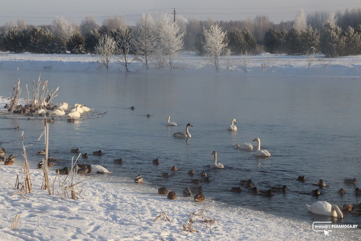 Белгидромет: в 2026 году половодье будет более высоким, чем в последние годы