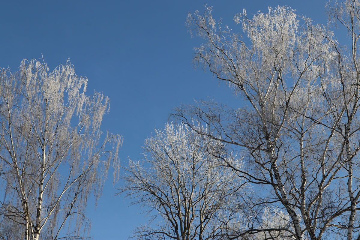Какой будет погода в Беларуси 17-22 февраля