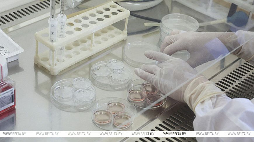 Сделать так, как хочет женщина. Лукашенко пообещал максимально упростить доступ к ЭКО