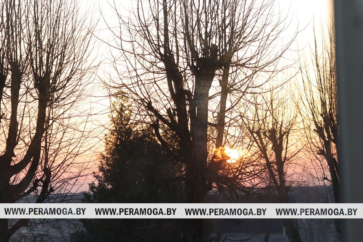 Фотофакт: весеннее утро в объективе «ШП»