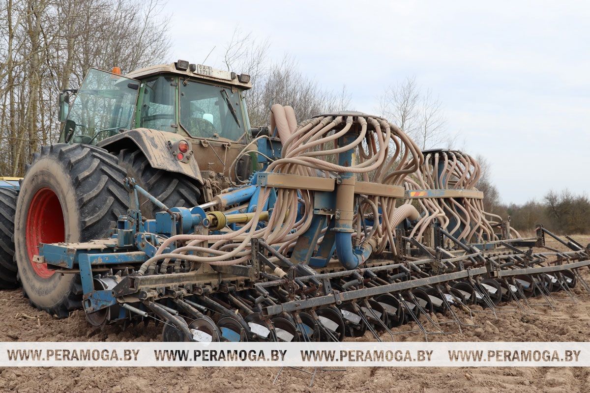 «Сеем – і гэта зараз галоўнае»: як праходзіць веснавая сяўба на Вілейшчыне