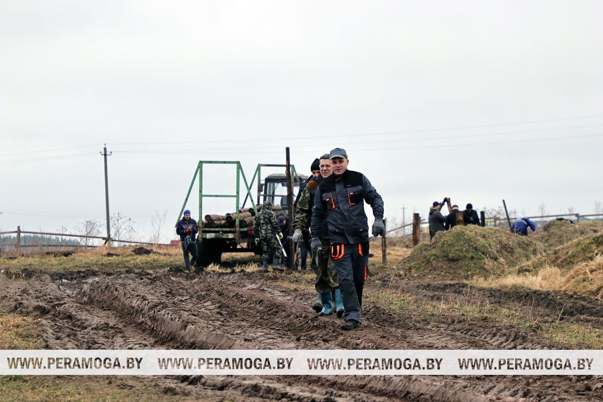 Всем миром, по-хозяйски: как древний обычай «толока» помогает Вилейщине сегодня