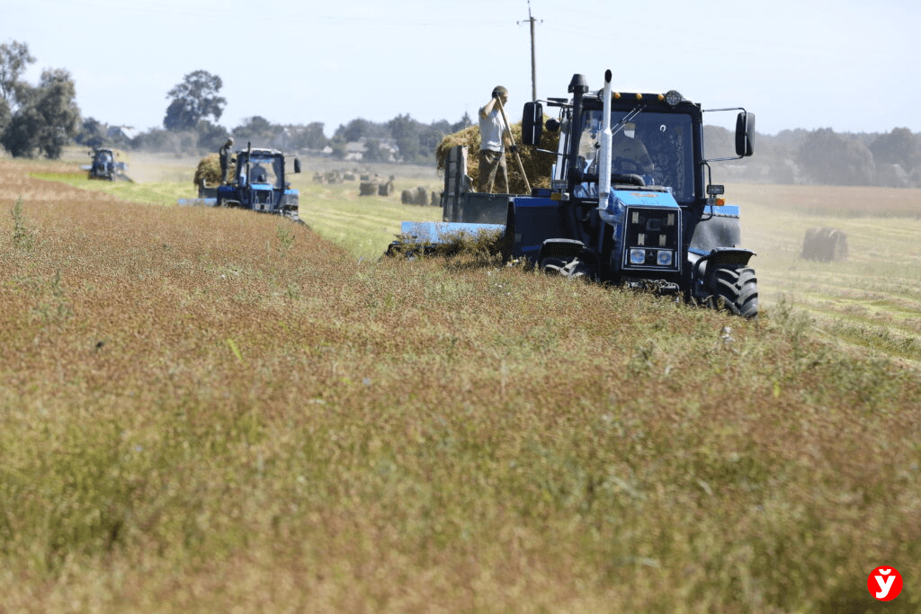 Уголовное дело и миллионный ущерб: Госконтроль вскрыл факты бесхозяйственности на Слуцком льнозаводе
