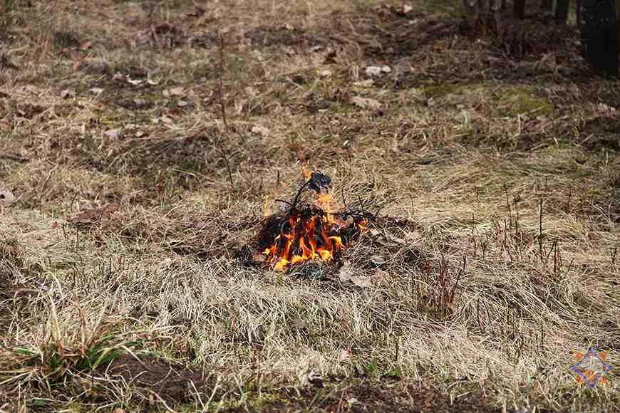 О загораниях в природных экосистемах Вилейского района